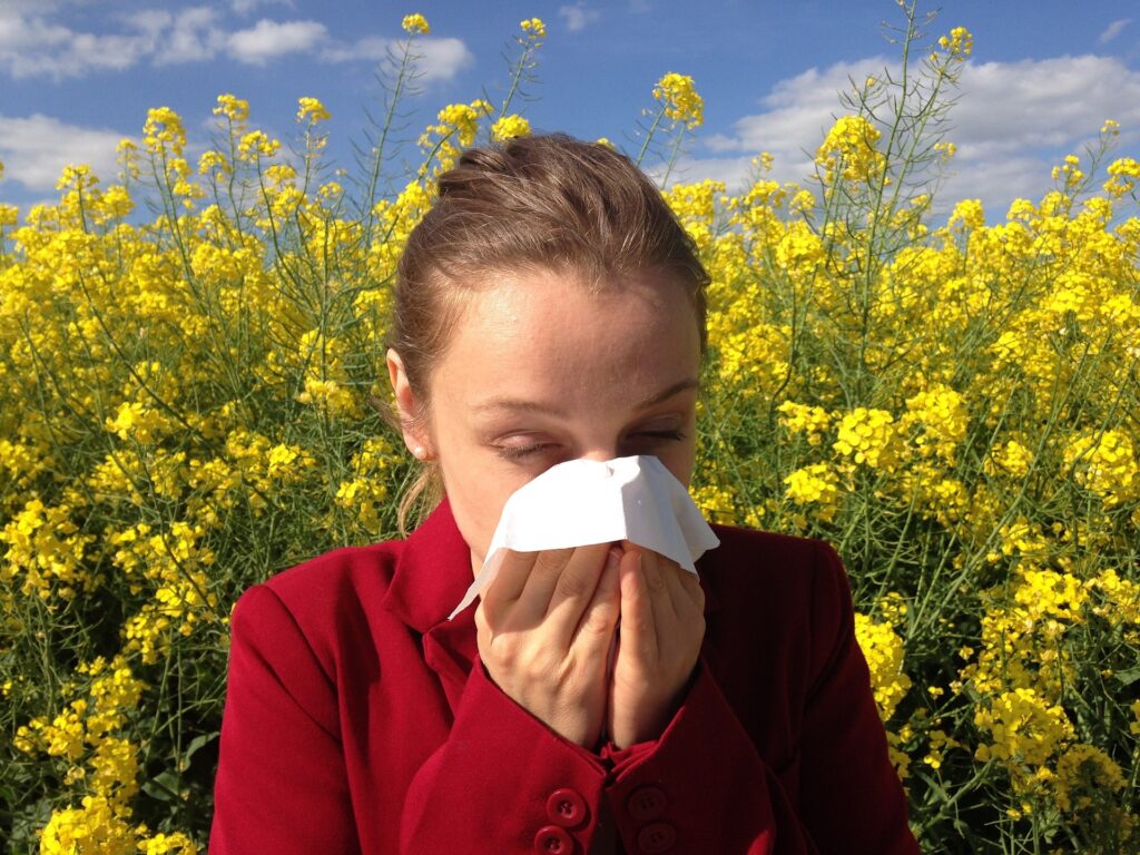 mandarina Orri contra la alergia