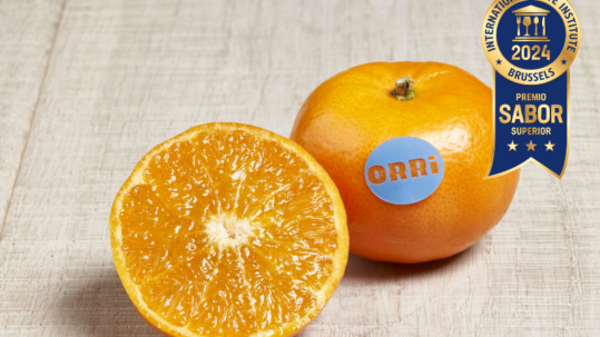 mandarina ORRi